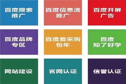 成功案例：百度推广代理商助力产品快速崛起