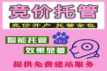 揭秘SEM竞价成功案例，助你提升ROI
